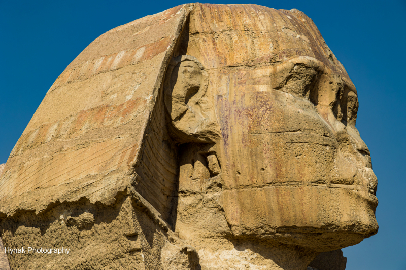 Close-up-side-view-Head-of-the-Sphynx-Egypt-1-of-1