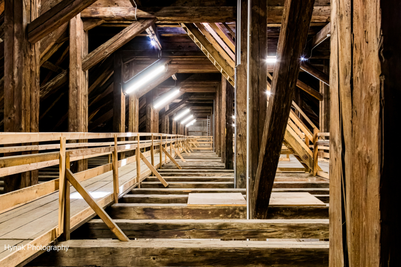 Upper-roof-with-walkway-and-raw-beams-Spanish-Riding-School-in-Vienna-Austria-1-of-1