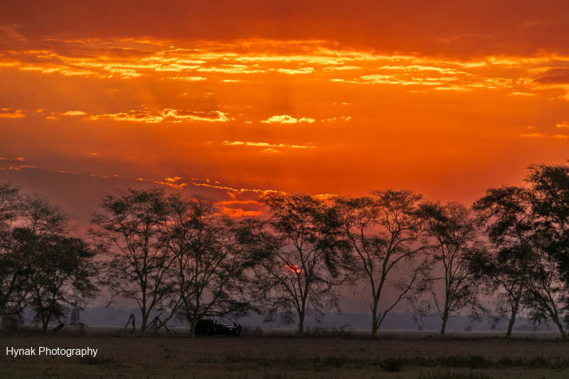 Redish-orange-sunset-Gorongosa-Mozambique-Africa-1-of-1