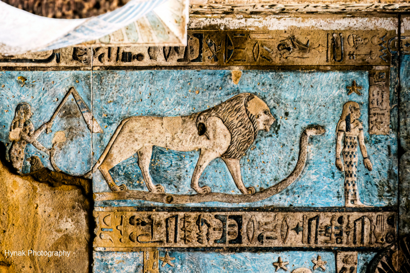 Egypt-Temple-painting-of-a-Lion-1-of-1