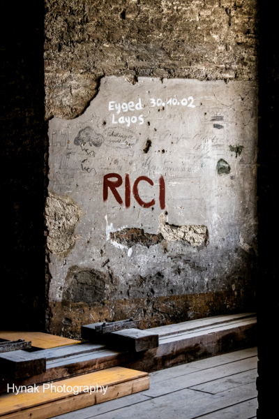 Graffiti-in-the-lower-roof-section-of-the-Spanish-Riding-School-in-Vienna-Austria-1-of-1