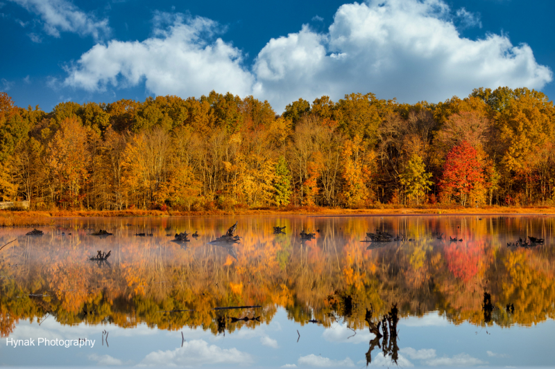 Fall-scene-with-trees-reflecting-in-water-1-of-1