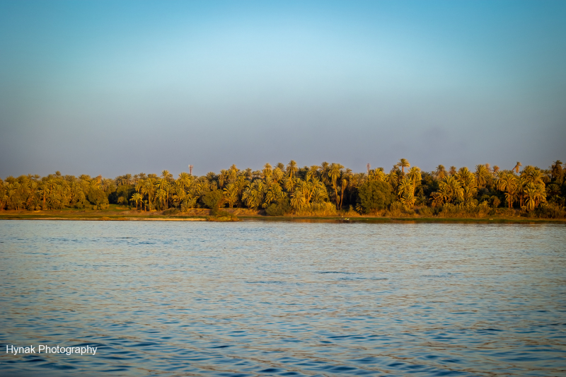 Nile-scene-with-Palm-trees-in-Egypt-1-of-1